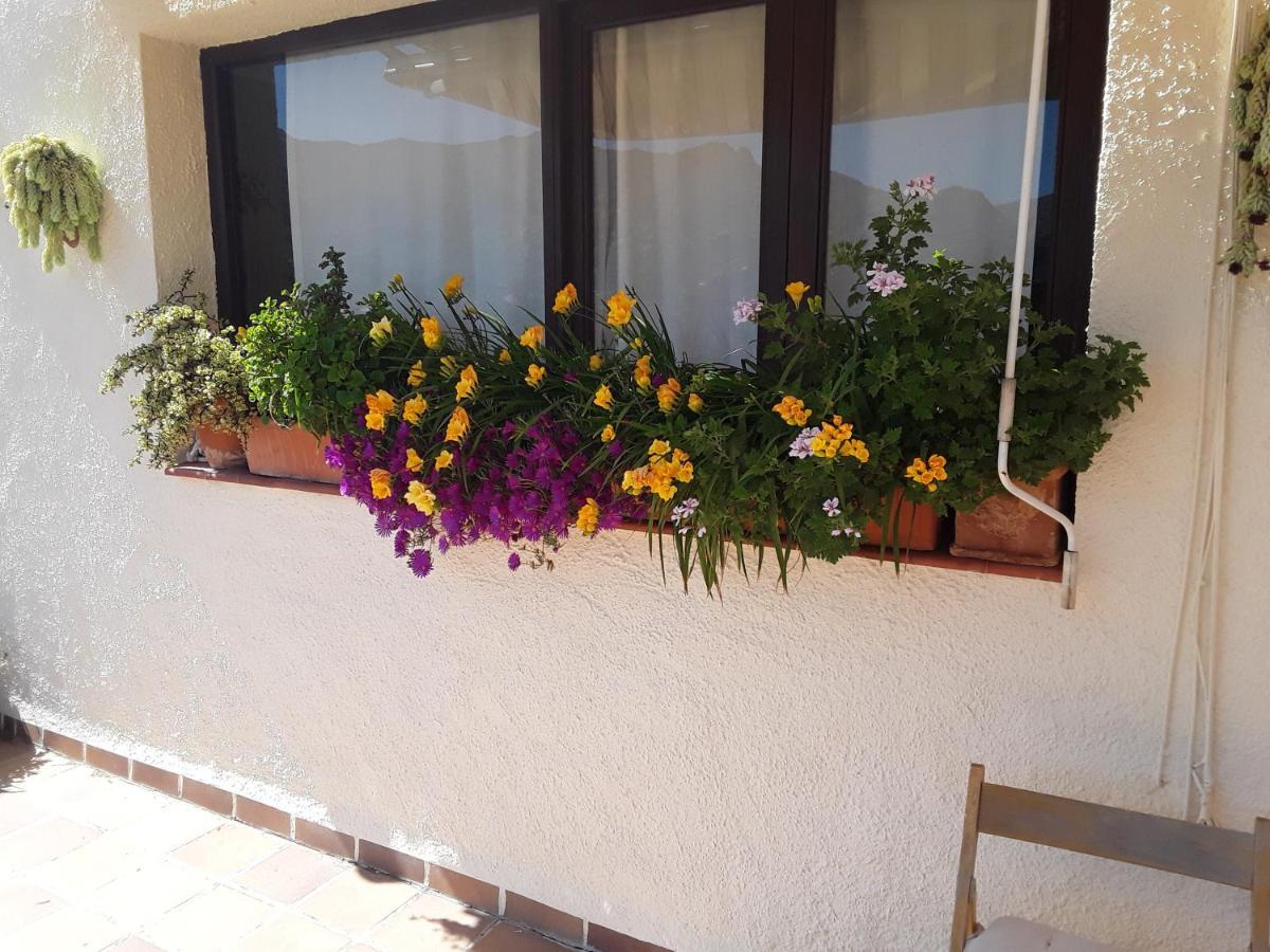 Casa Rural B&B Casamedico Turre Exterior photo